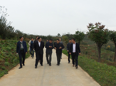 ʡ��������M����ʢ�r(n��ng)�ֹ�˾ҕ��