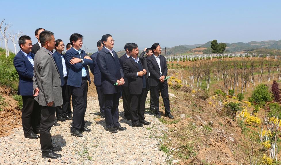 �z�����h������F������ʢ�r(n��ng)�ֹ�˾�{(di��o)��ָ��(d��o)