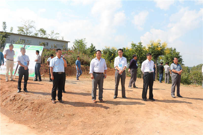 �]�ϣ��տh����������ľǢՄ���^Ħ�M����ʢ�r(n��ng)�ֹ�˾�^Ħ